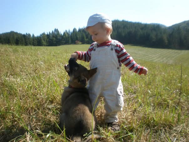 Obedience Work